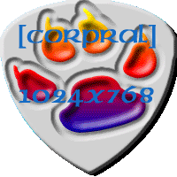 Enter the site in 1024x768
